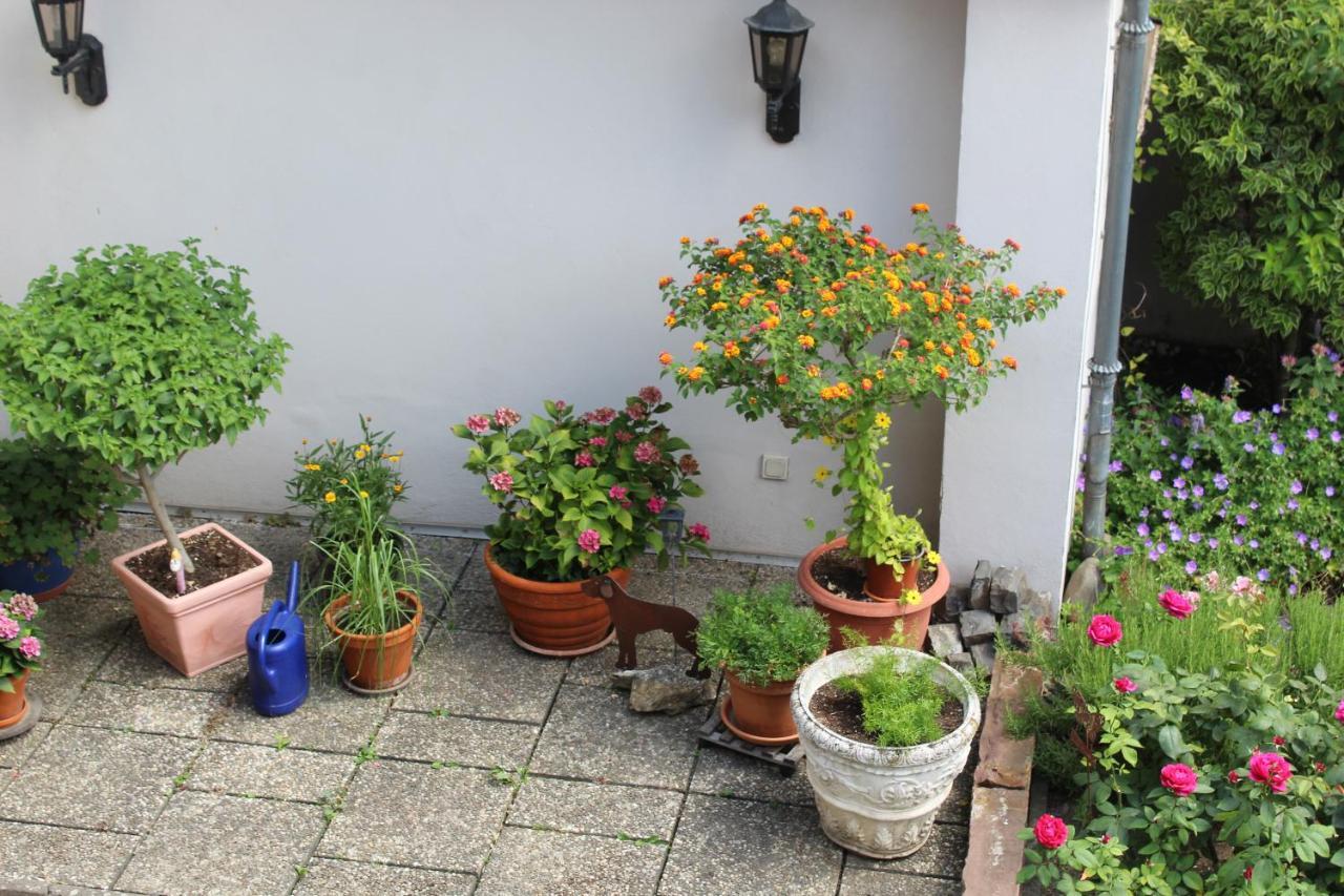Auszeit Im Rheingau Eltville am Rhein Exterior foto